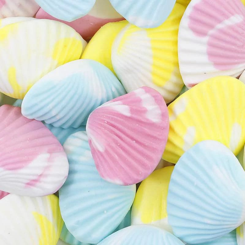 Coquillages palourdes